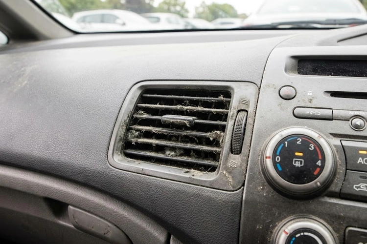 carnauba wax vs synthetic wax application comparison on car hood panel