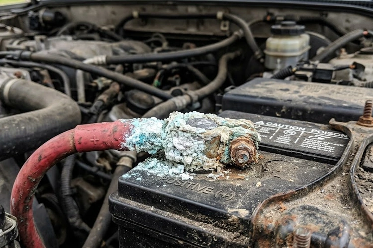 freshly painted car panel showing deep gloss clear coat — how to care for a newly painted car