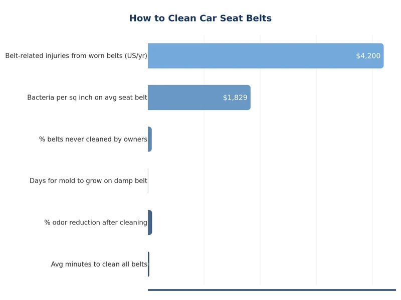chart comparing seat belt cleaning methods and effectiveness