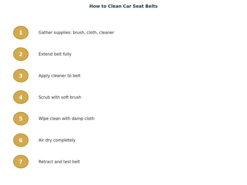 step by step process diagram for how to clean car seat belts