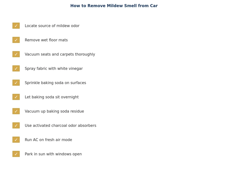 mildew smell removal checklist for car interiors