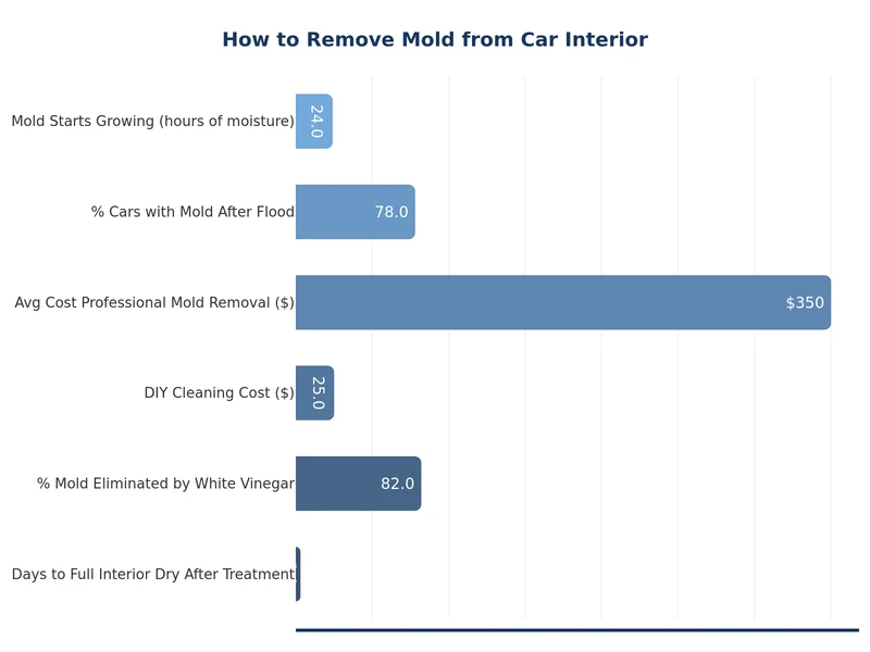 chart comparing mold removal solutions effectiveness on car interior surfaces