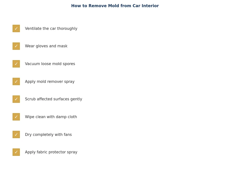 car interior mold prevention checklist