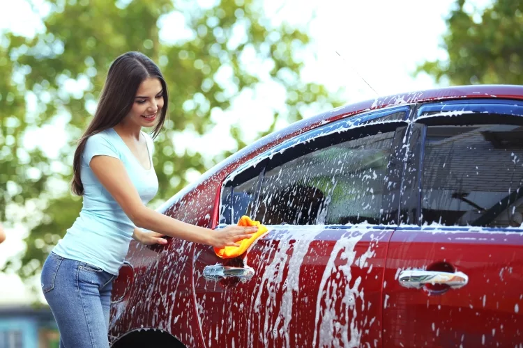 Steps to Get Rid of Ants in Car