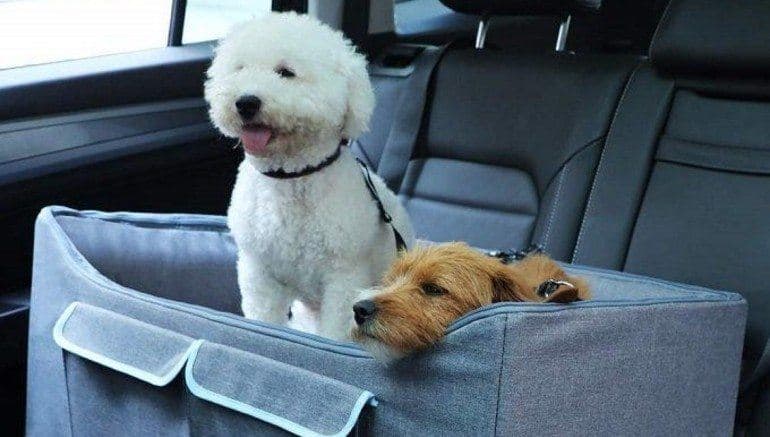 Best Dog Car Seats of 2026